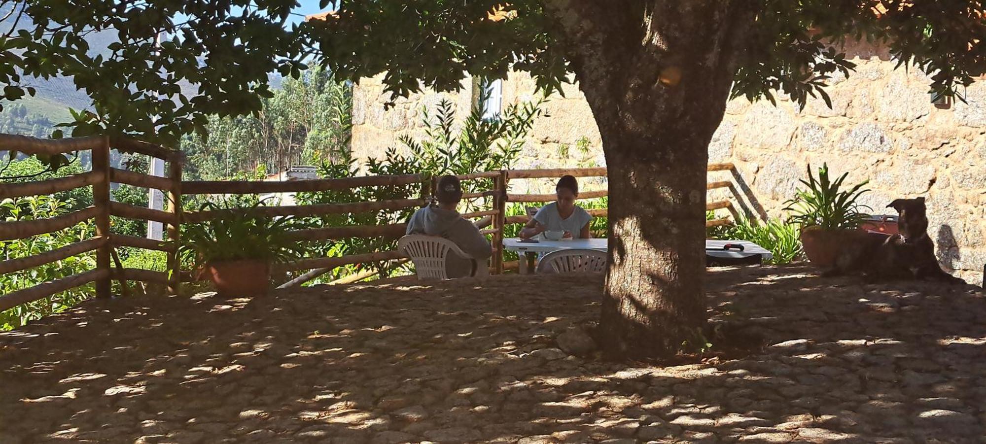 Refugio Dos Cartolas São Mamede de Infesta Dış mekan fotoğraf