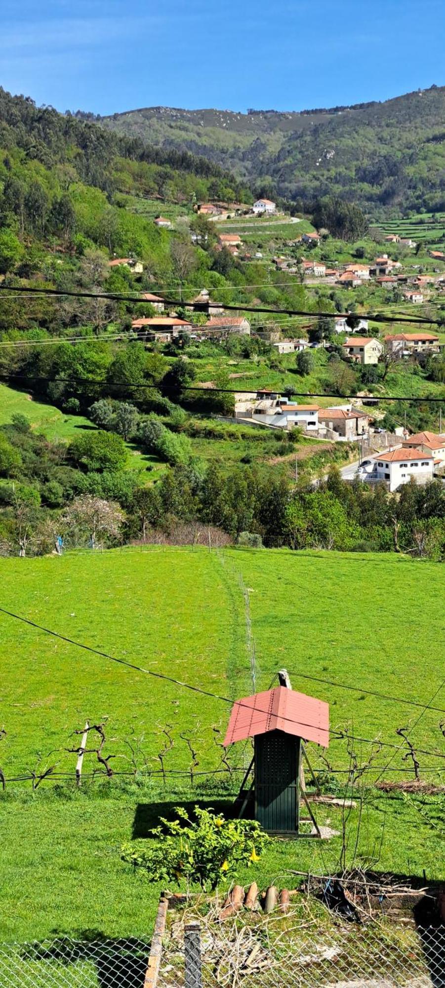 Refugio Dos Cartolas São Mamede de Infesta Dış mekan fotoğraf