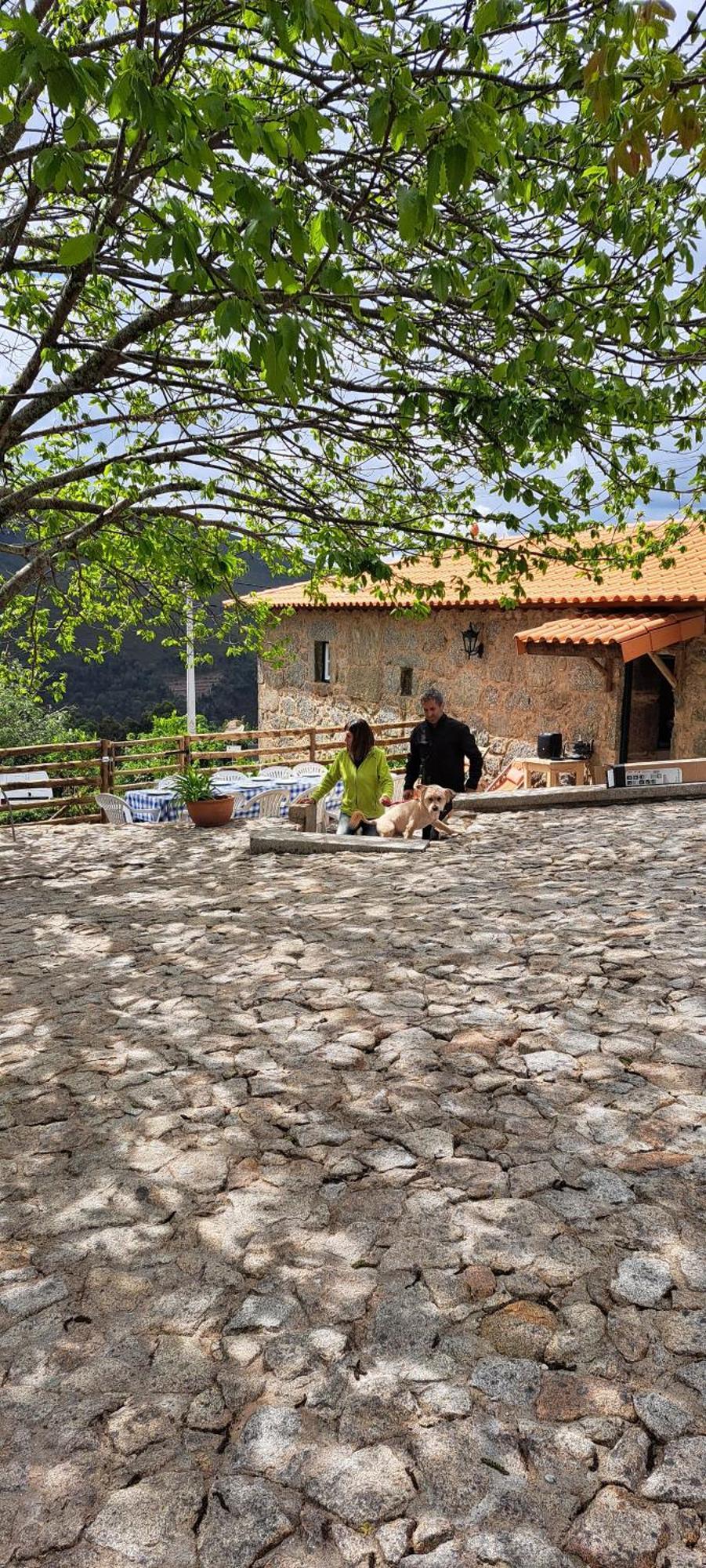 Refugio Dos Cartolas São Mamede de Infesta Dış mekan fotoğraf